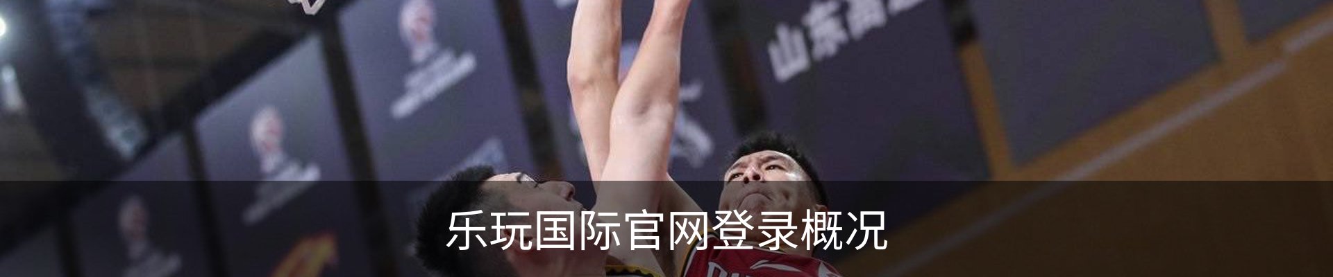 乐玩国际官网登录概况